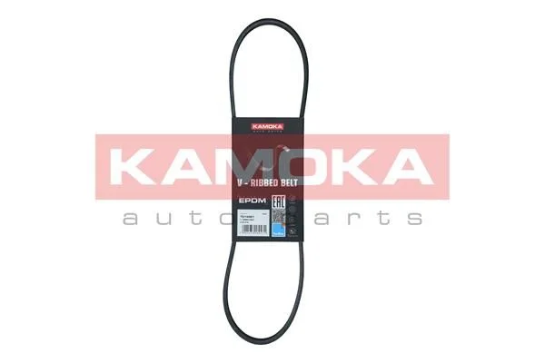 V-rebrasti pas KAMOKA 7014021