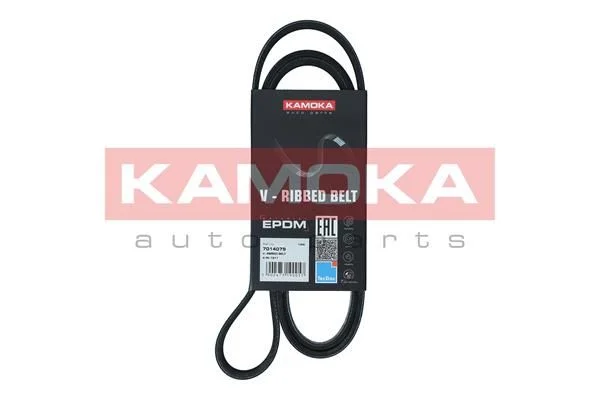V-rebrasti pas KAMOKA 7014079