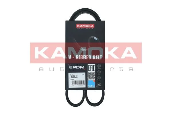 V-rebrasti pas KAMOKA 7015018