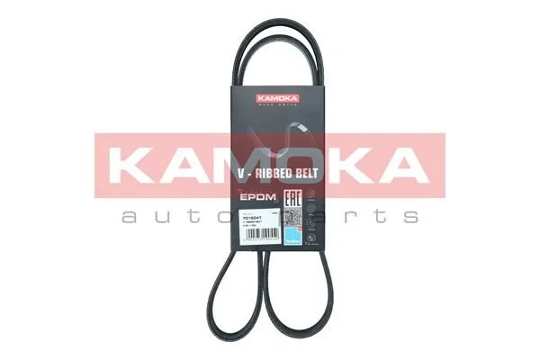 V-rebrasti pas KAMOKA 7015047
