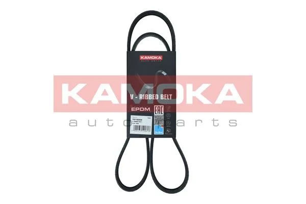 V-rebrasti pas KAMOKA 7015053