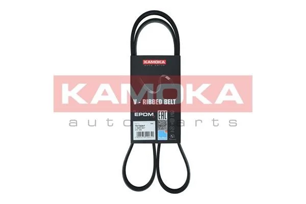 V-rebrasti pas KAMOKA 7015057