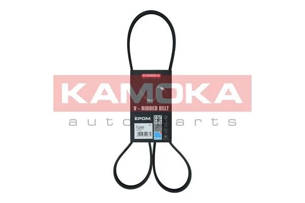 V-rebrasti pas KAMOKA 7015059