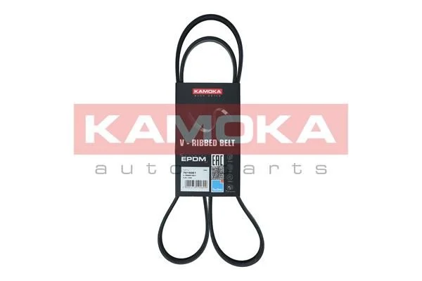V-rebrasti pas KAMOKA 7015061
