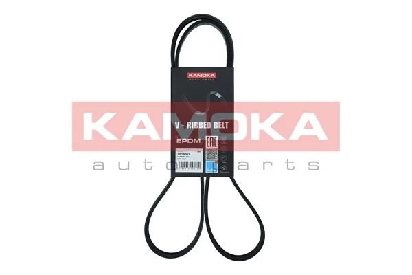 V-rebrasti pas KAMOKA 7015067