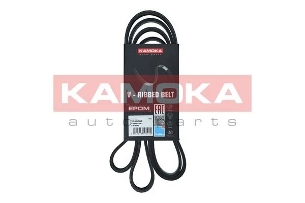 V-rebrasti pas KAMOKA 7015083