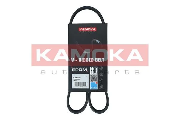 V-rebrasti pas KAMOKA 7016022