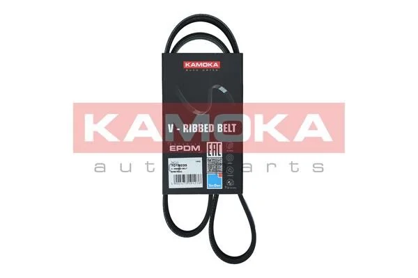 V-rebrasti pas KAMOKA 7016035