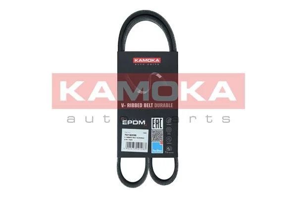 V-rebrasti pas KAMOKA 7016036