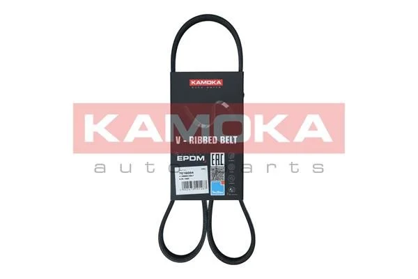V-rebrasti pas KAMOKA 7016054