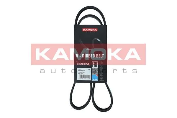 V-rebrasti pas KAMOKA 7016059