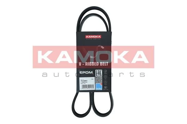 V-rebrasti pas KAMOKA 7016061