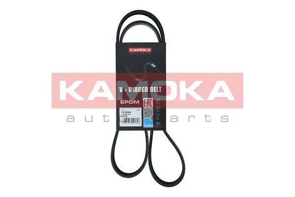 V-rebrasti pas KAMOKA 7016080