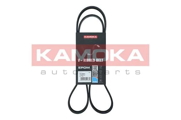 V-rebrasti pas KAMOKA 7016091