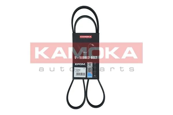 V-rebrasti pas KAMOKA 7016097