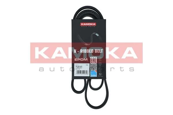 V-rebrasti pas KAMOKA 7016147