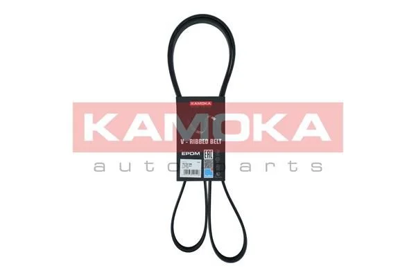 V-rebrasti pas KAMOKA 7016159