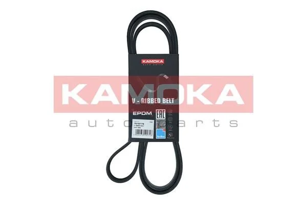 V-rebrasti pas KAMOKA 7016179