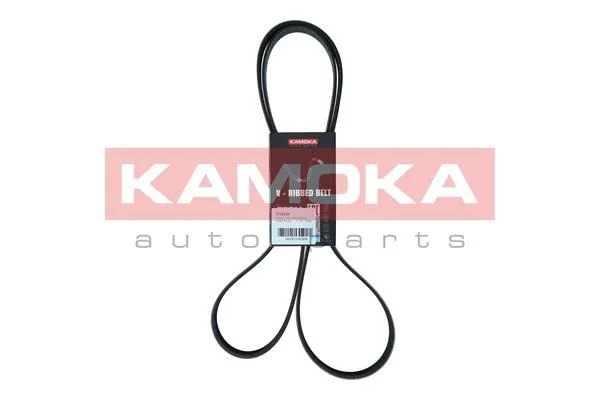 V-rebrasti pas KAMOKA 7016188