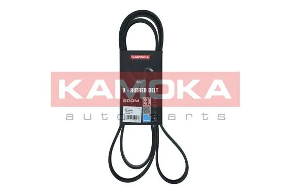 V-ribbed Belt KAMOKA 7016201