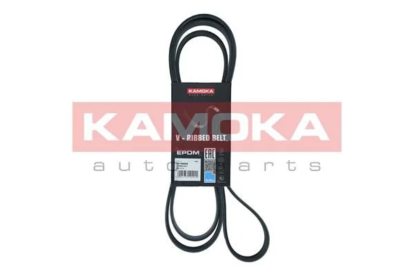 V-rebrasti pas KAMOKA 7016202