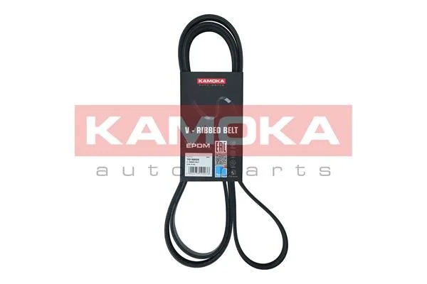V-rebrasti pas KAMOKA 7016205