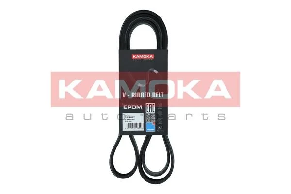 V-rebrasti pas KAMOKA 7016217