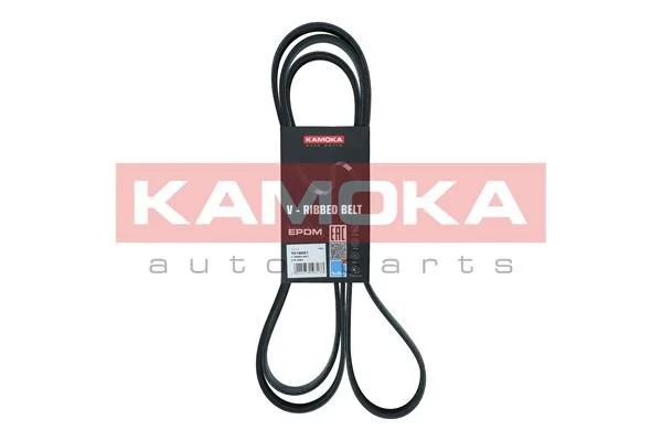 V-rebrasti pas KAMOKA 7016221