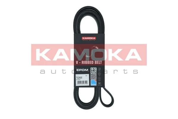 V-rebrasti pas KAMOKA 7016222