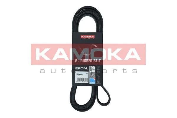 V-rebrasti pas KAMOKA 7016227