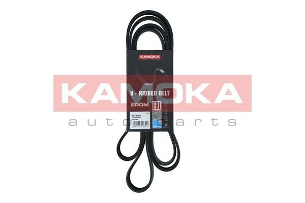 V-rebrasti pas KAMOKA 7016229