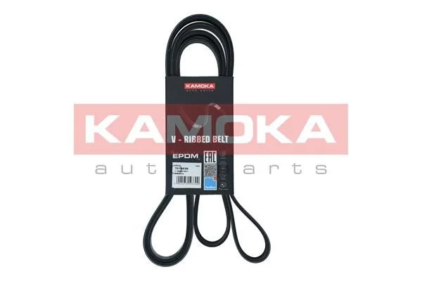 V-rebrasti pas KAMOKA 7016238