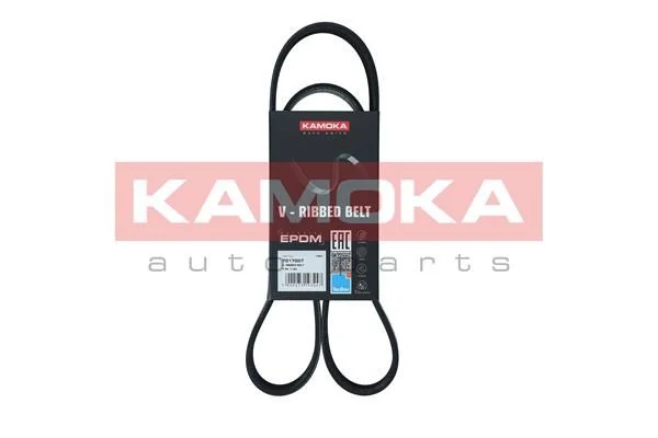 V-rebrasti pas KAMOKA 7017007