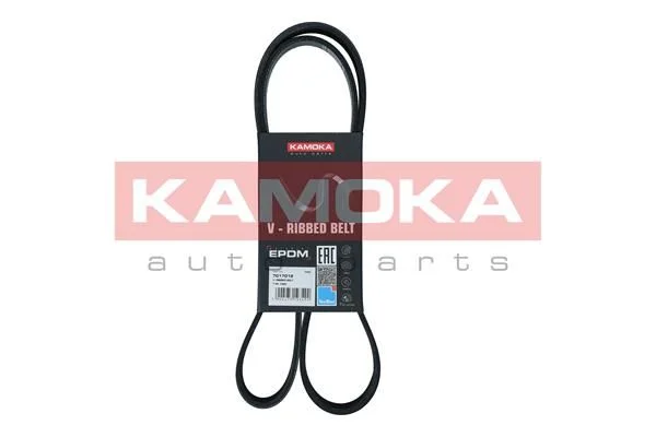 V-rebrasti pas KAMOKA 7017012