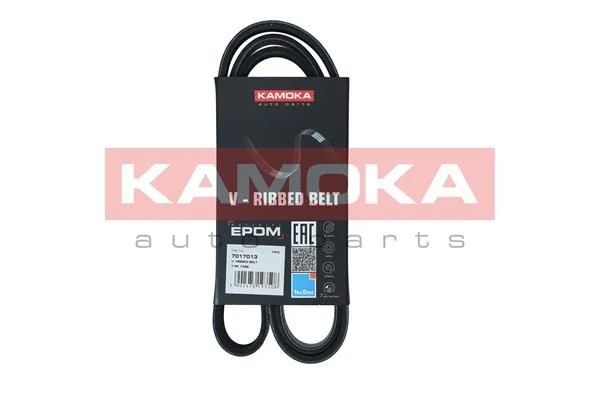 V-rebrasti pas KAMOKA 7017013