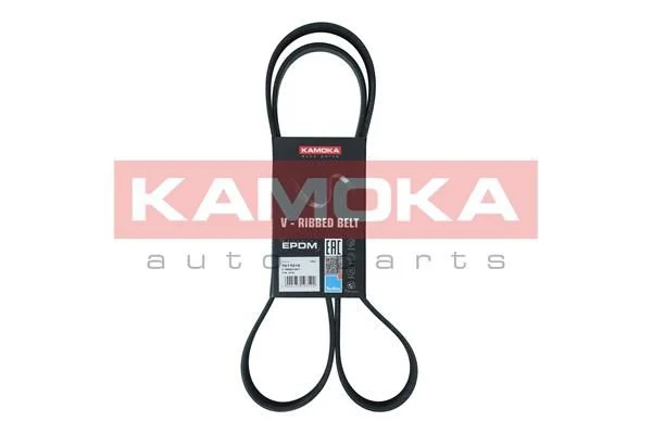 V-rebrasti pas KAMOKA 7017015