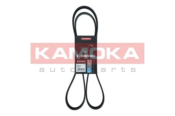 V-rebrasti pas KAMOKA 7017019