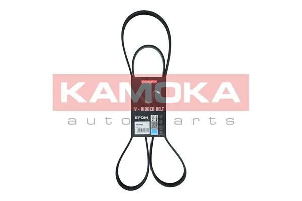 V-rebrasti pas KAMOKA 7017025