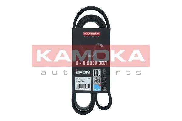 V-rebrasti pas KAMOKA 7017027