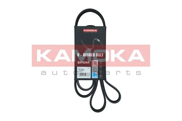 V-rebrasti pas KAMOKA 7017031