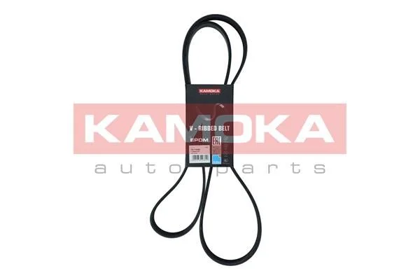 V-rebrasti pas KAMOKA 7017032