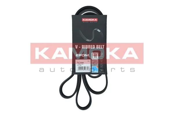 V-rebrasti pas KAMOKA 7017033