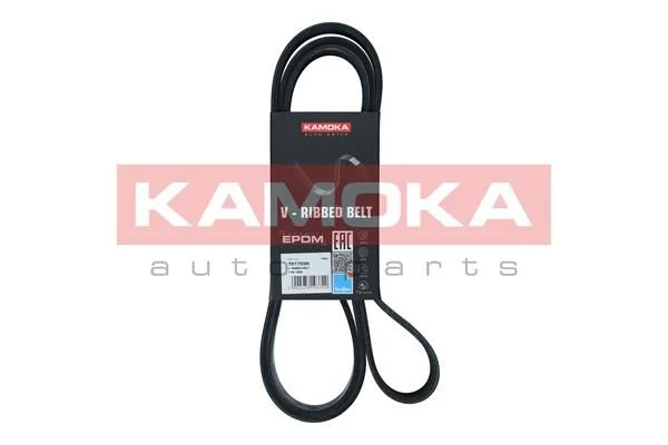 V-rebrasti pas KAMOKA 7017035