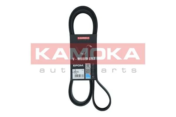 V-rebrasti pas KAMOKA 7017041