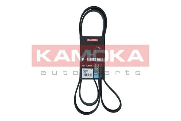 V-rebrasti pas KAMOKA 7017042