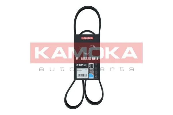 V-rebrasti pas KAMOKA 7018001