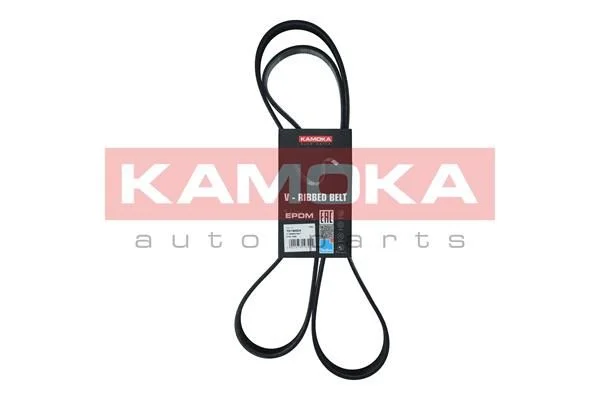 V-rebrasti pas KAMOKA 7018004