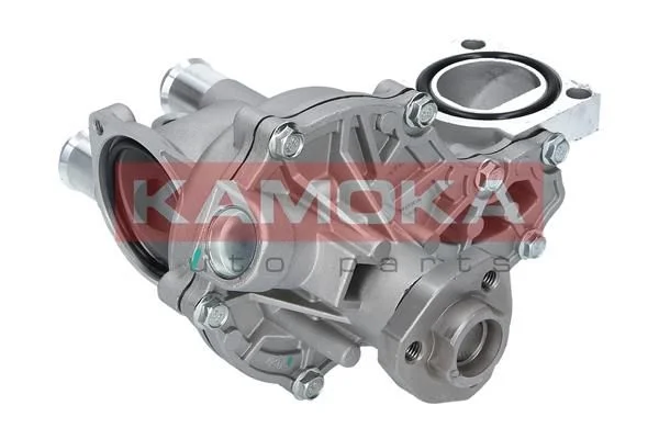 1260 KAMOKA T0043