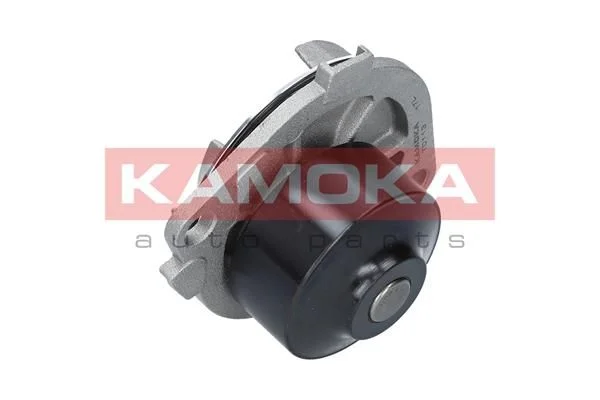Water Pump, engine cooling KAMOKA T0113
