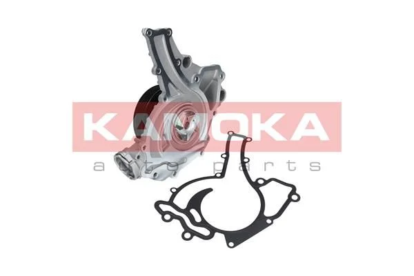Vodna črpalka, hlajenje motorja KAMOKA T0195